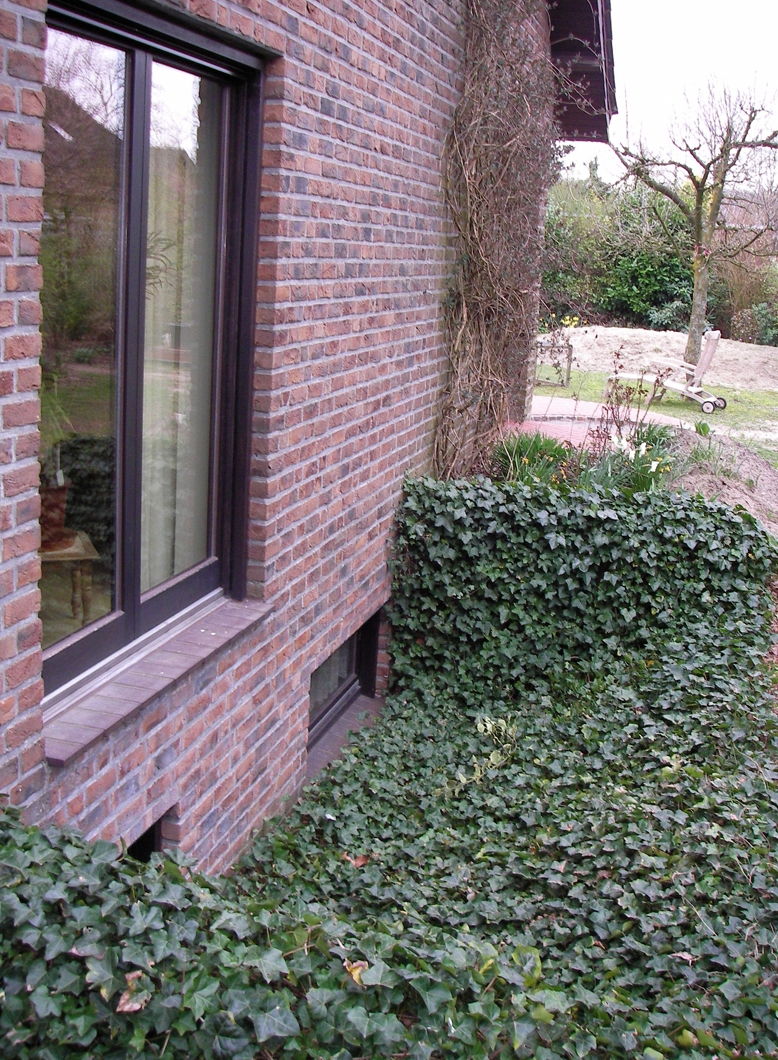 Hausgarten05.JPG